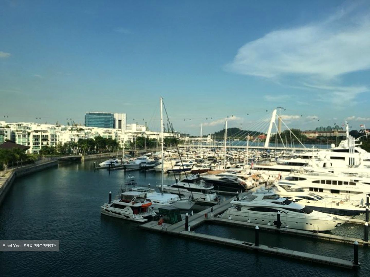 Reflections At Keppel Bay (D4), Condominium #454073991